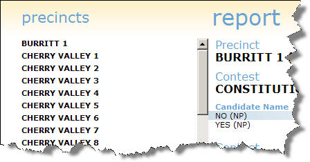 Precinct_View_Example.jpg